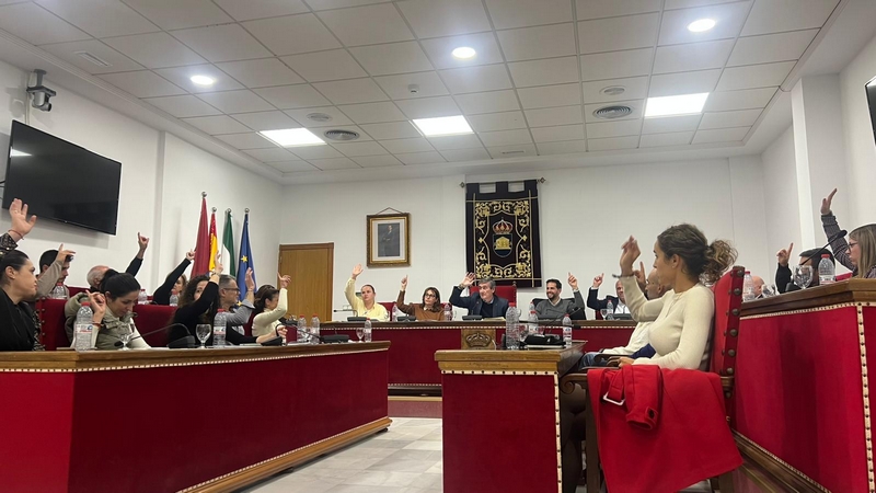 251128 Adra aprueba por unanimidad una moción en favor de las personas con discapacidad severa (1)