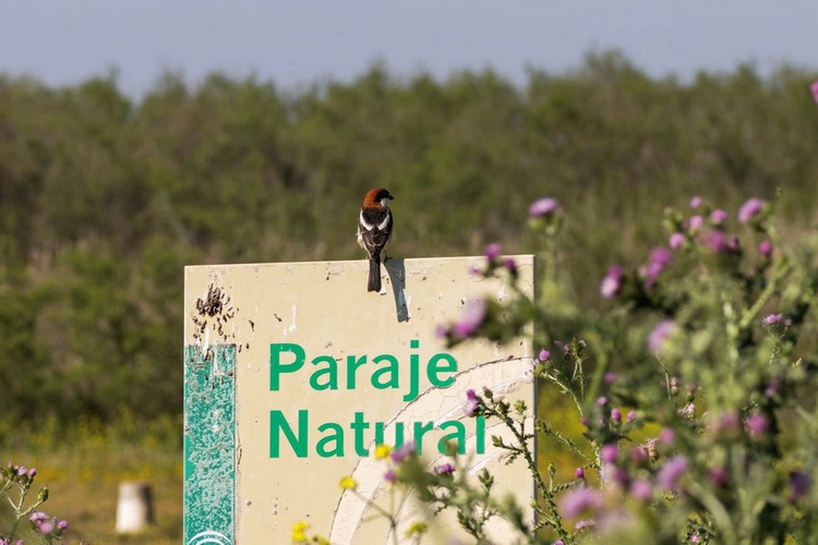 FOTO 3 NOVIEMBRE 13 2025 PRIMER PREMIO CÓMO VES TÚ EL ANTROPOCENO
