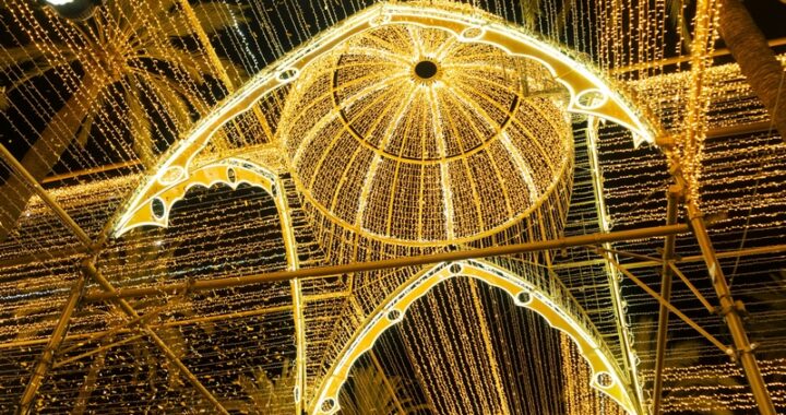 ILUMINACIÓN EXTRAORDINARIA NAVIDAD (57)