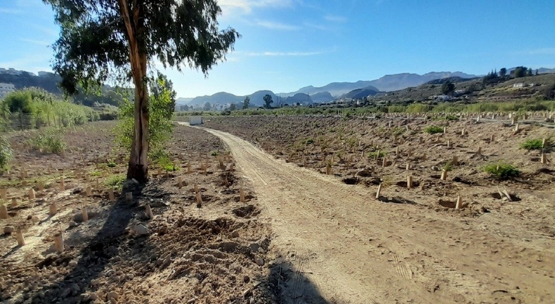 260117_Almería Restauración vertederos (1)