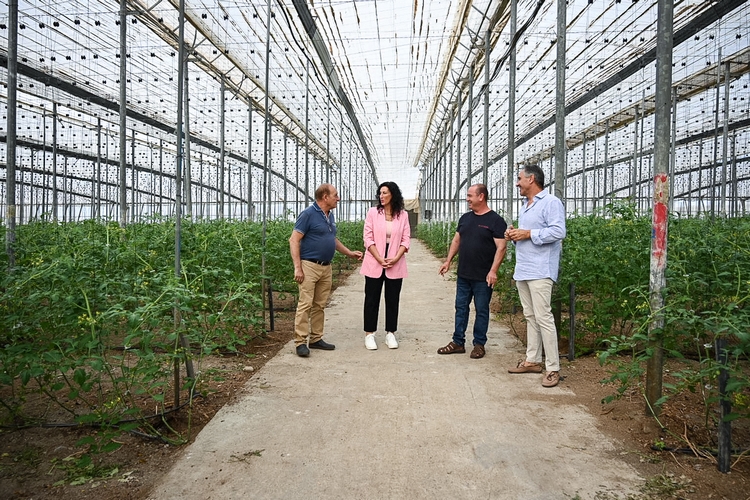 FOTO ARCHIVO ALCALDESA INVERNADEROS