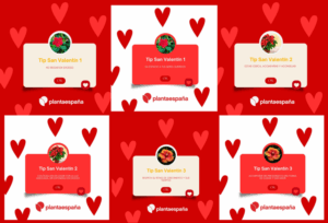 20260212_Plantaespaña_San Valentín