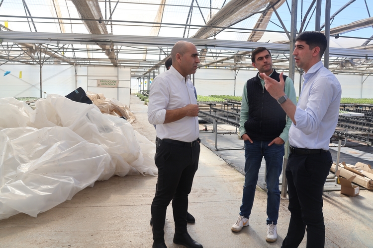 260216 DAÑOS INVERNADEROS BORRASCA ORIANA OK (1)