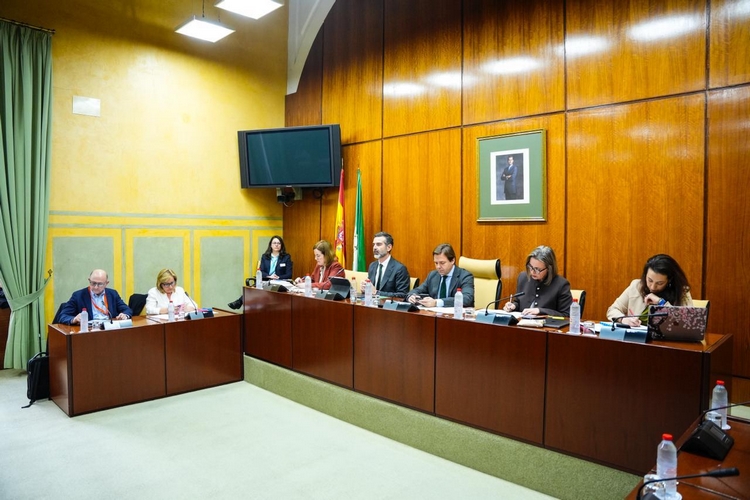 260218 COMISIÓN 2