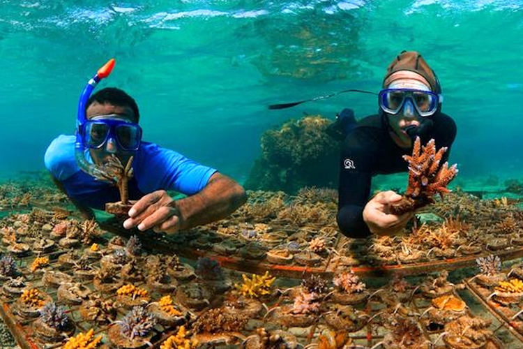 FOTO 2 UAL 10 FEBRERO 2026 ARRECIFES