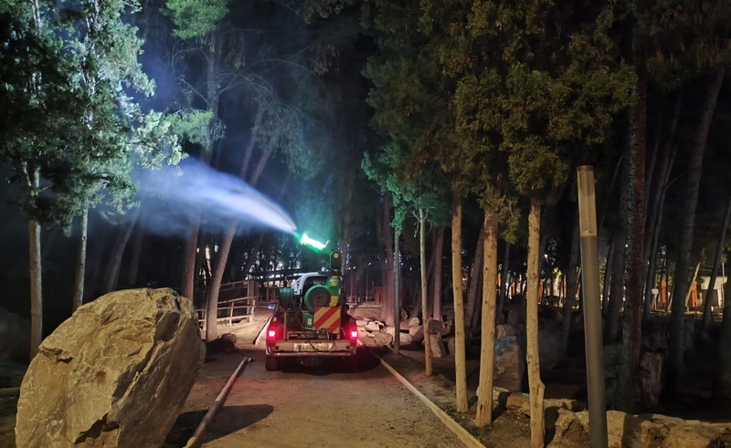 Fumigación Procesionaria (10)