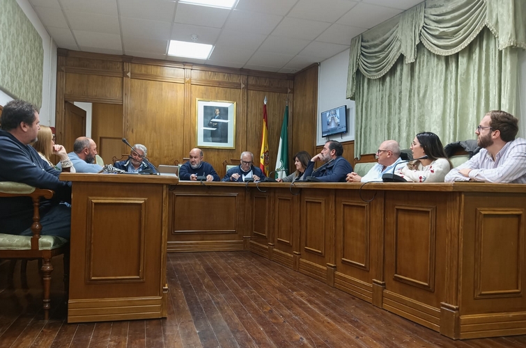 pleno dalias 24.2.2026 03