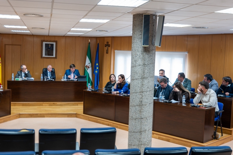 pleno ordinario febrero 2026