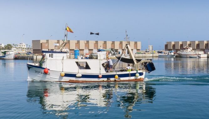 260320 Ayuntamiento de Adra gestiona casi 330 licencias de pesca durante el año 2025