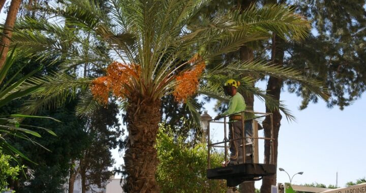 260331 Adra destina cerca de 189.000 euros al mantenimiento de parques y jardines en 2026