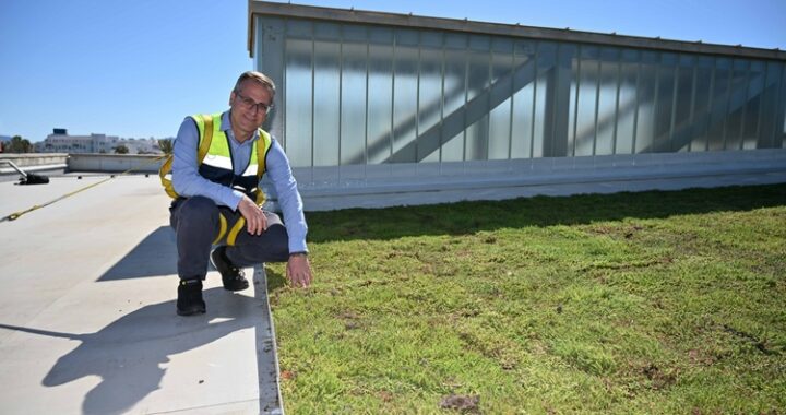 CUBIERTA VEGETAL TOYO (2)