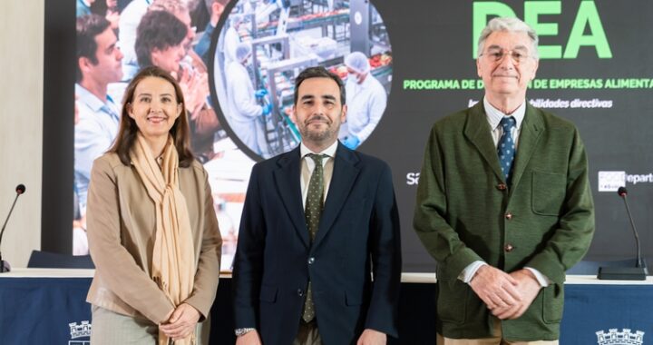 Diputación y San Telmo (2)