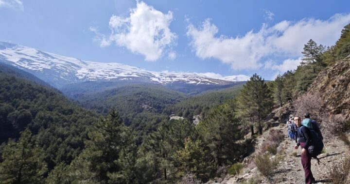 IMG_20260301_133445 copia