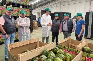 18042026 campaña sandía