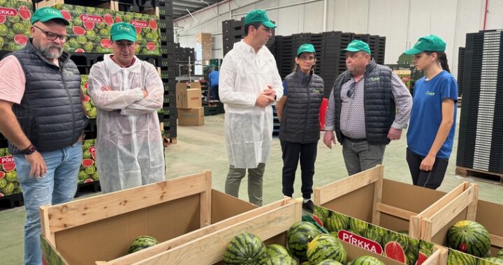 18042026 campaña sandía