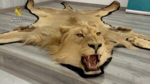 2026-04-25_op_ fauna_africana_almeria_1