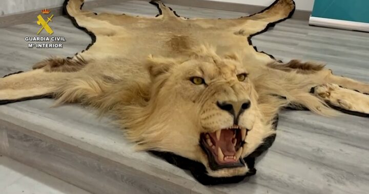 2026-04-25_op_ fauna_africana_almeria_1