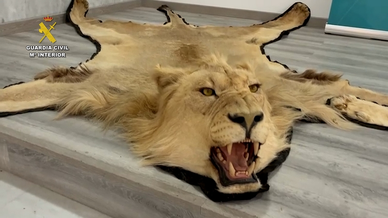 2026-04-25_op_ fauna_africana_almeria_1