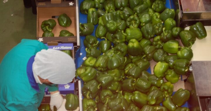 20260421_Convenio manipulación