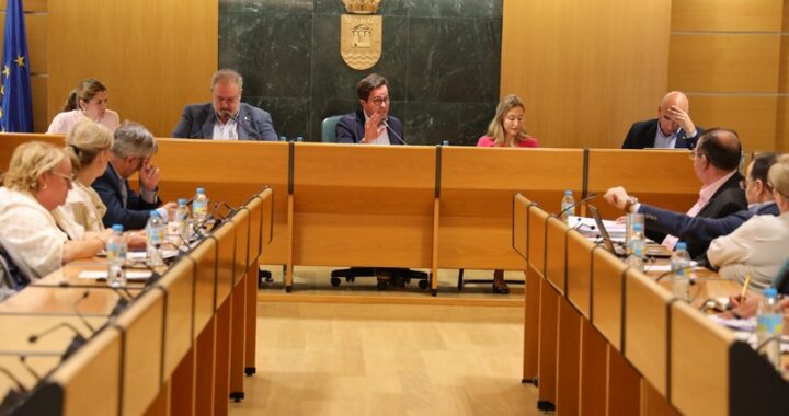 260420 PLENO EXTRAORDINARIO (1)