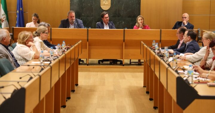 260420 PLENO EXTRAORDINARIO