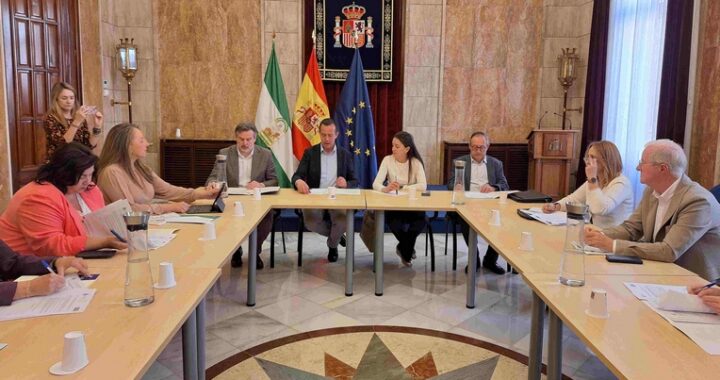 Comisión seguimiento PFEA