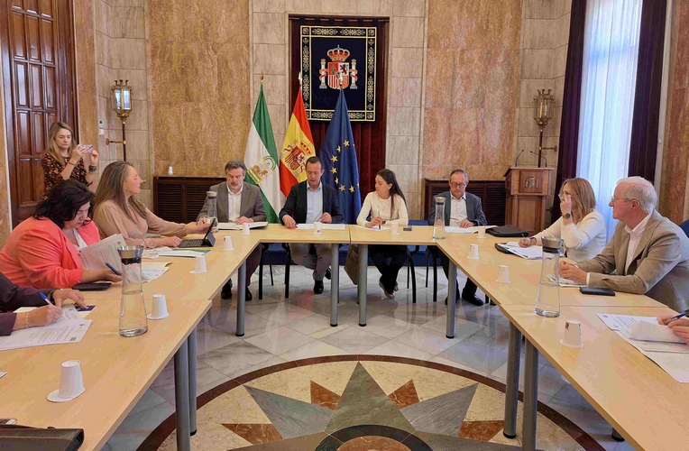 Comisión seguimiento PFEA