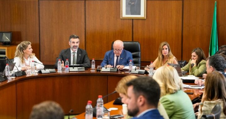 Diputación permanente 1