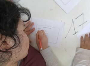 FOTO 5 PUENTE DE LAS METAS