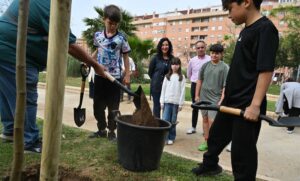 Plantación arbolado