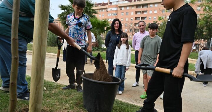 Plantación arbolado