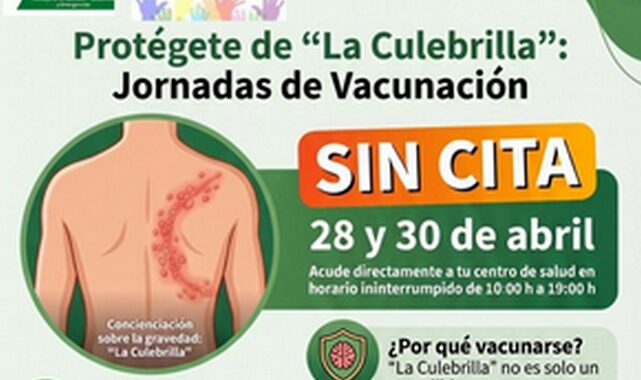 Sin título 4