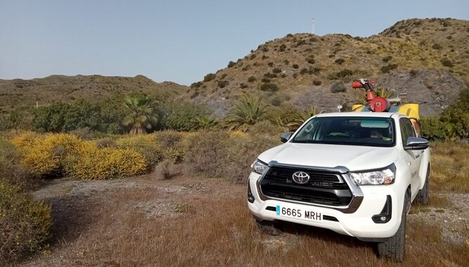 campaña fumigación y prevención y control plagas Cuevas 2026 (4)