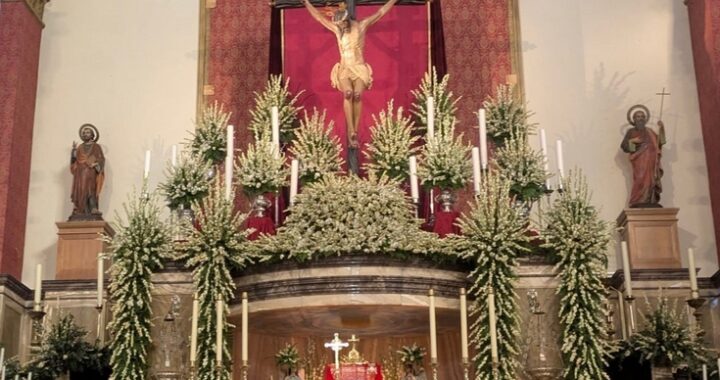 foto cristo de la luz dalias