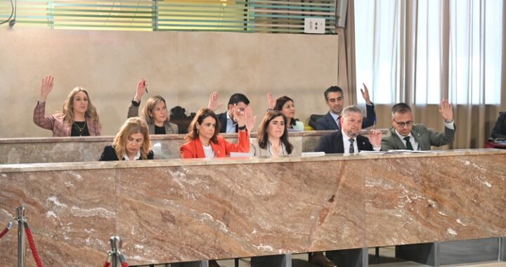 pleno-101