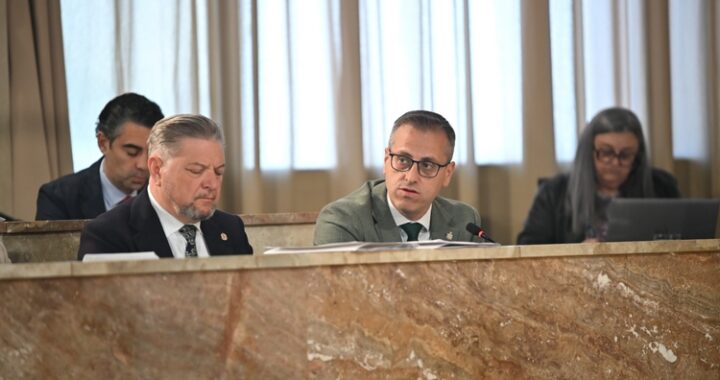 pleno-108