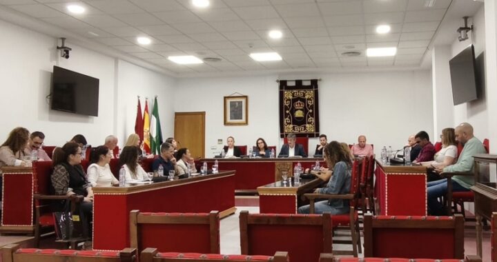 260508 pleno Adra (1)