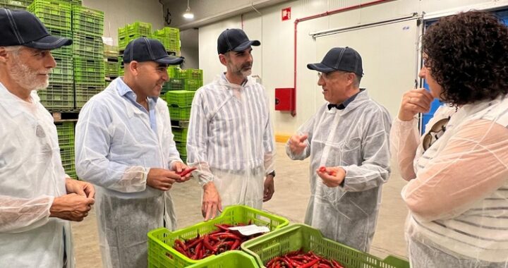 260530 Fernández-Pacheco visita la cooperativa Cabasc en Balanegra (Almería) (1)