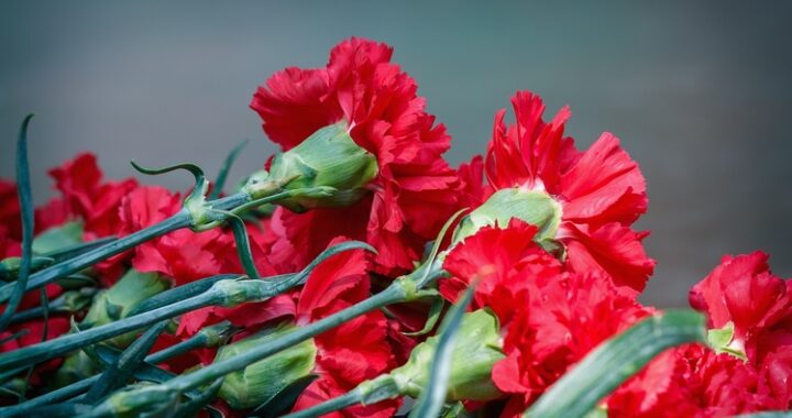Flor cortada 2