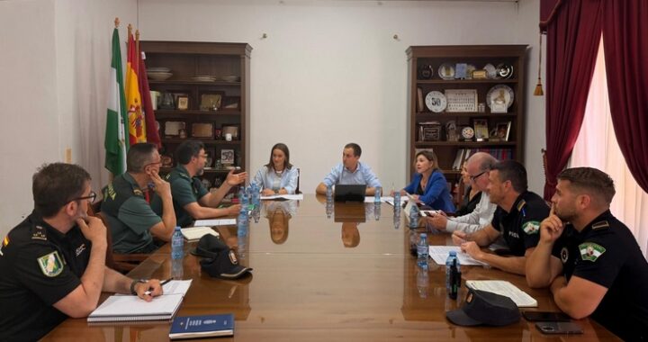 Junta Local de Seguridad