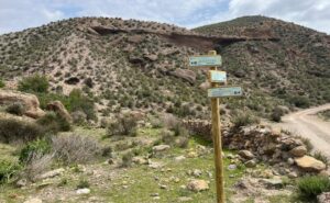 Nuevo sendero de acceso a Fuente Álamo (9)