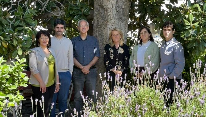 Visita Med-o-Med