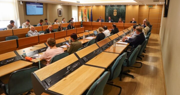 260605 MOCIÓN SITUACIÓN INSTITUCIONAL (2)