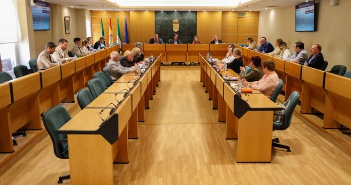 260605 PLENO MOCIÓN VIVIENDA (2)