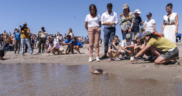 260615_Tortugas (14)