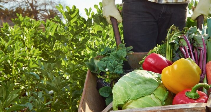 260621 Alemania compra alimentos de Andalucía por valor de más de 1.012 M€ en el primer trimestre de 2026 (1)