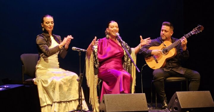 260623 Igualdad-Flamenca y Libre (7)