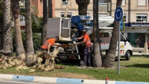 260626 REFUERZO DE LIMPIEZA (1)