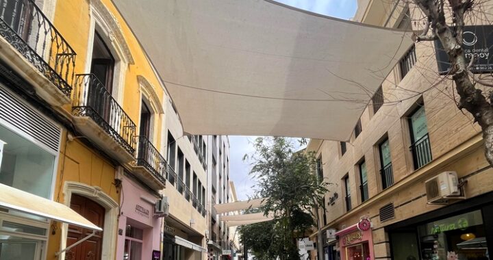 ENTOLDADO CALLE REYES CATÓLICOS
