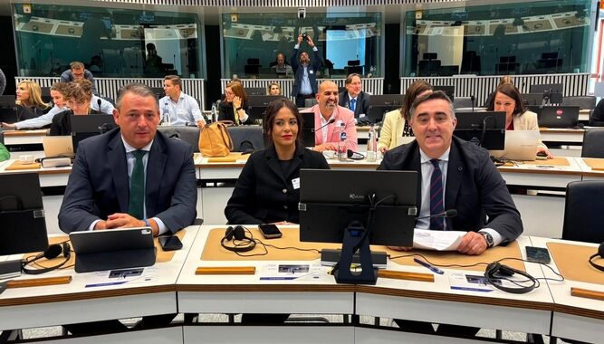 Encuentro en Bruselas para más protagonismo provincial (1)